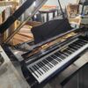 YAMAHA GRAND MODEL C3 - WILL GO FAST, NOT YET IN SHOWROOM! - Image 2